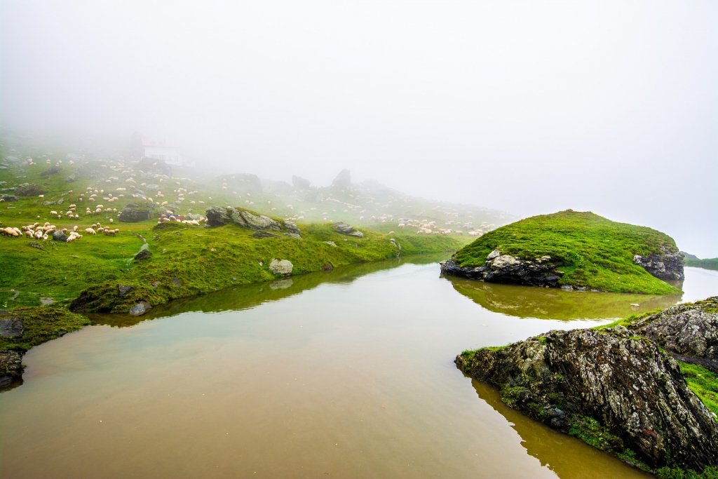 fog