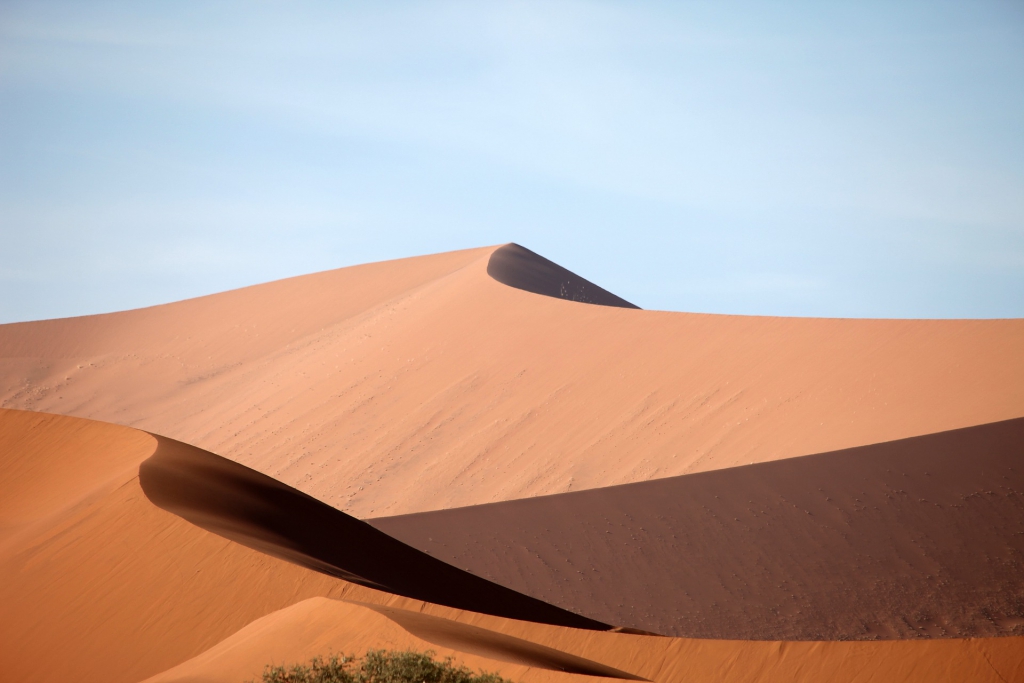 desert