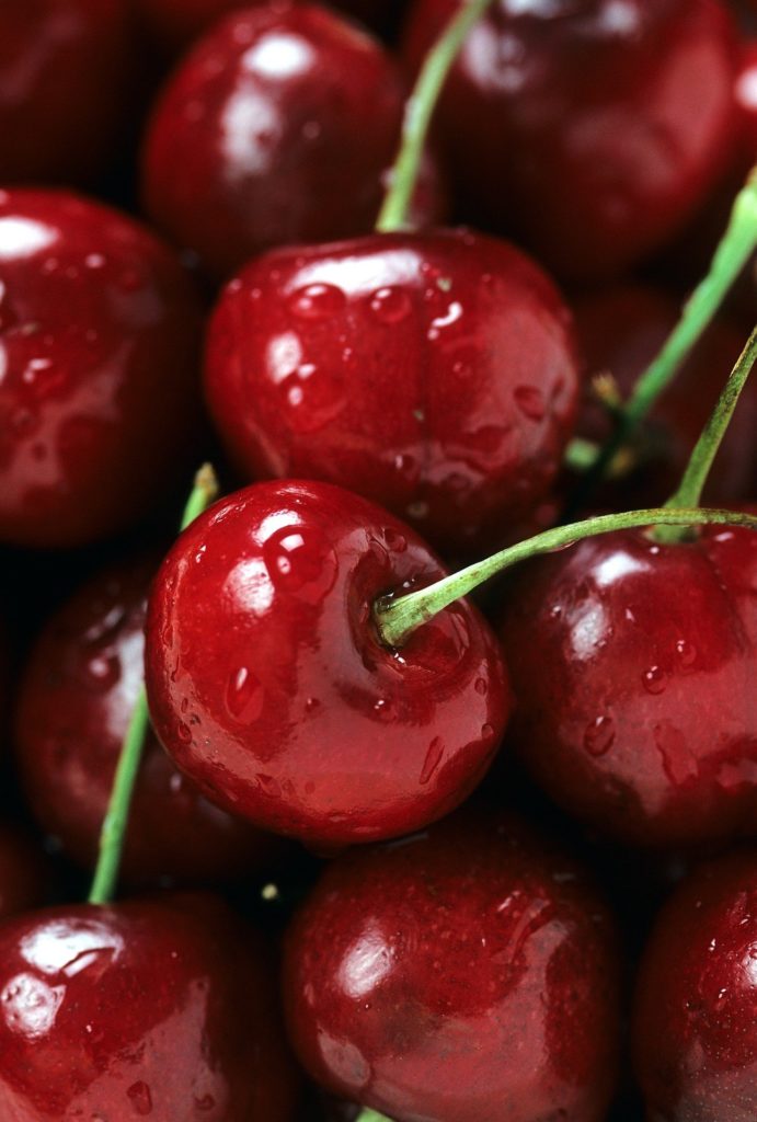 Fruit