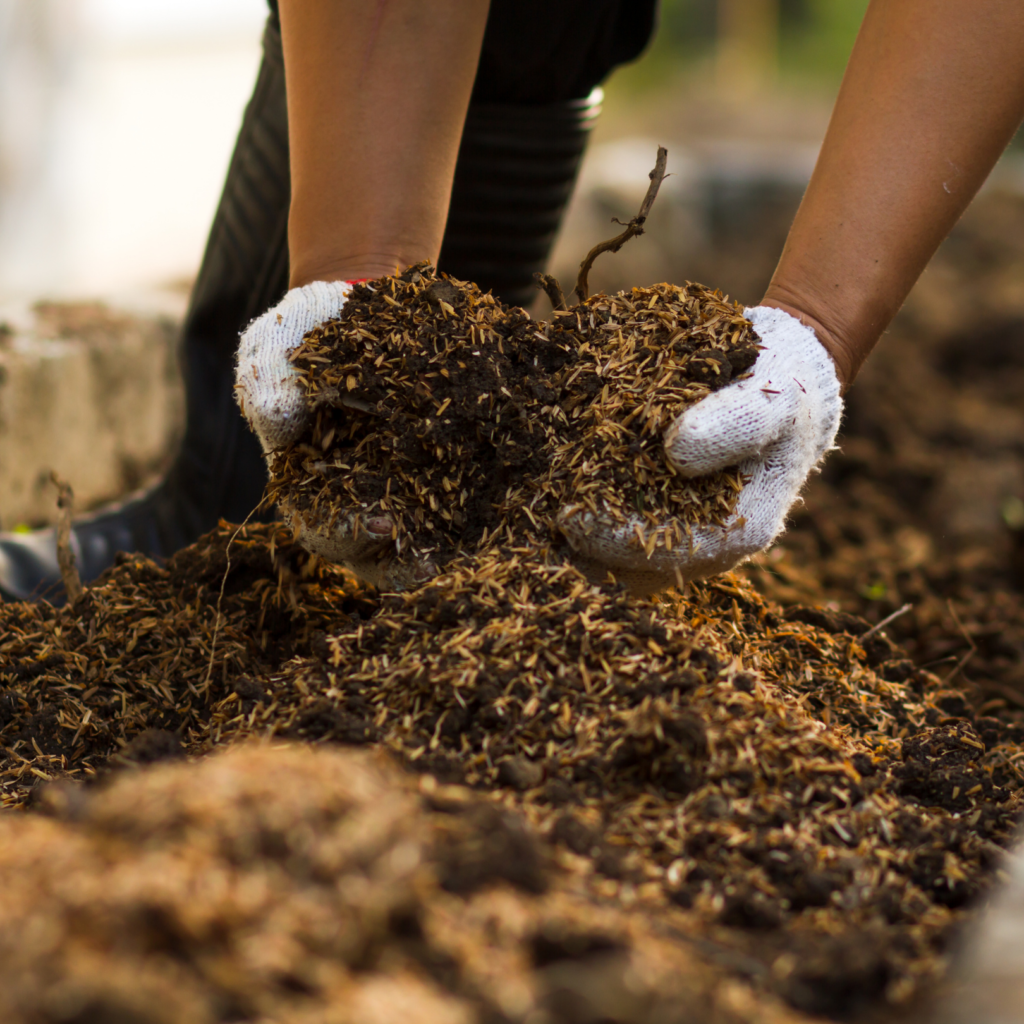 Compost for garden