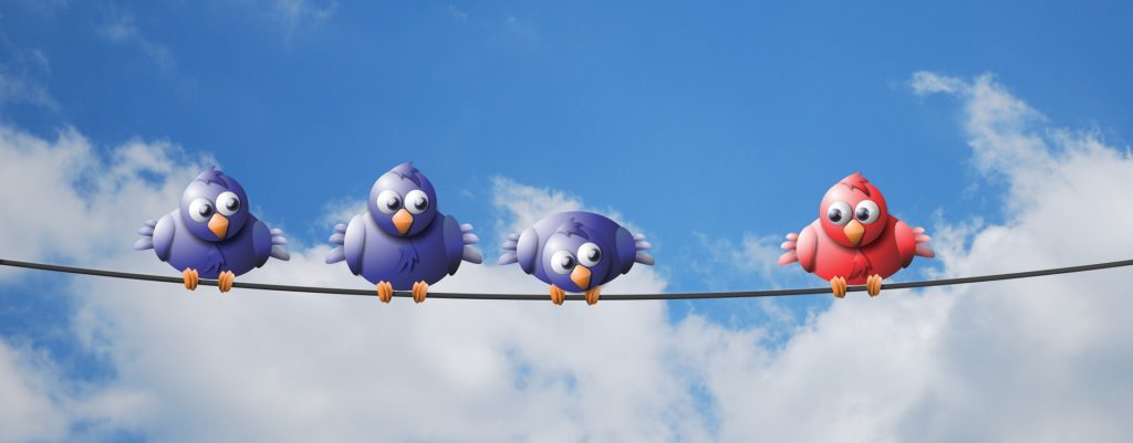 angry birds