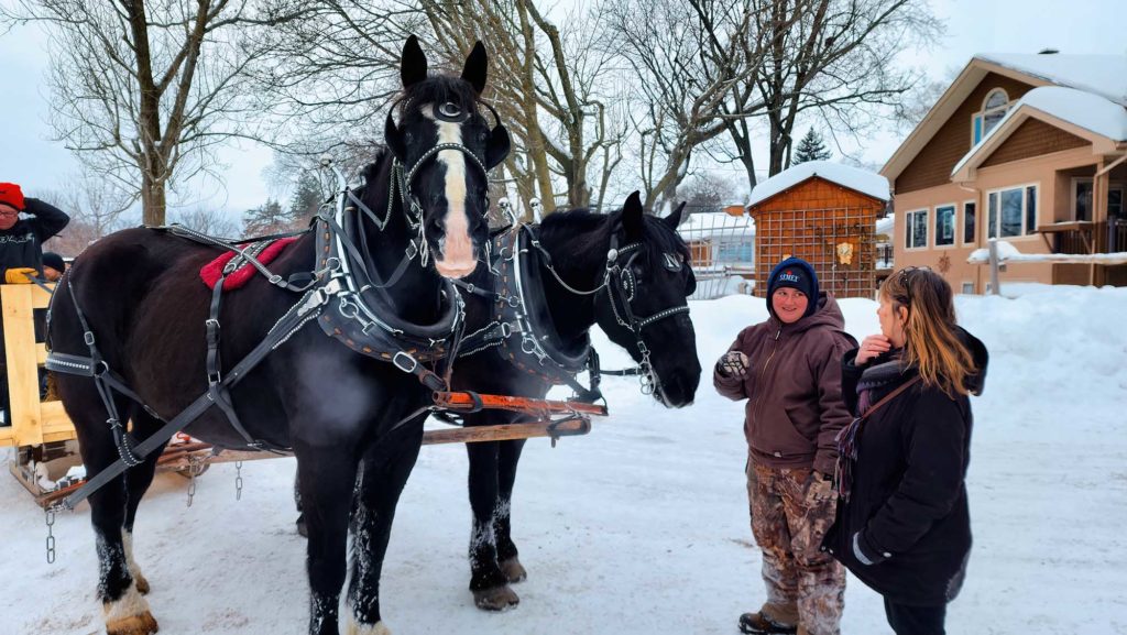 Sleigh ride