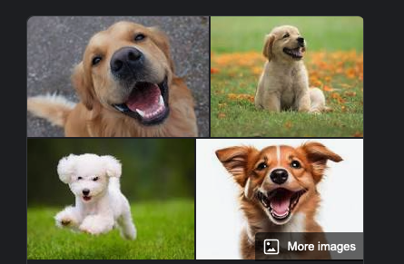 Dogs