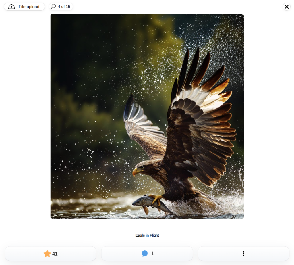Contest Gallery full-window entry view showing a wildlife photograph title rating comments and entry actions