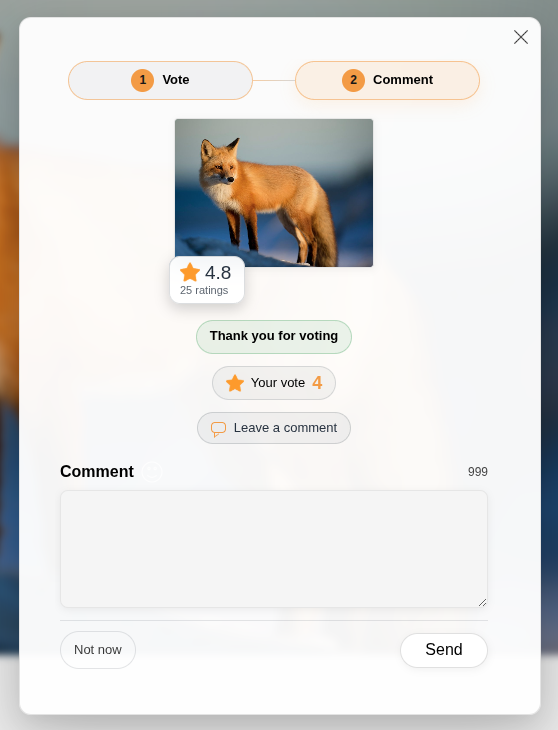 Contest Gallery two-step voting modal showing a submitted four-star average rating and an optional comment form