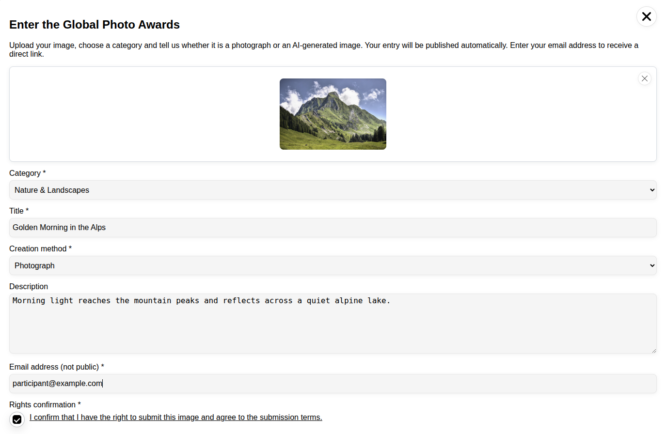 Contest Gallery frontend upload form with image preview and completed entry fields